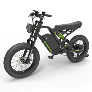 60V VENTURE Series 20” Fat Tyre Electric All Terrain Bike